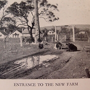 Entrance to the new farm [Fairbridge 1913?]